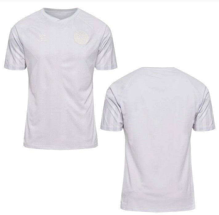 Denmark FIFA World Cup Jersey