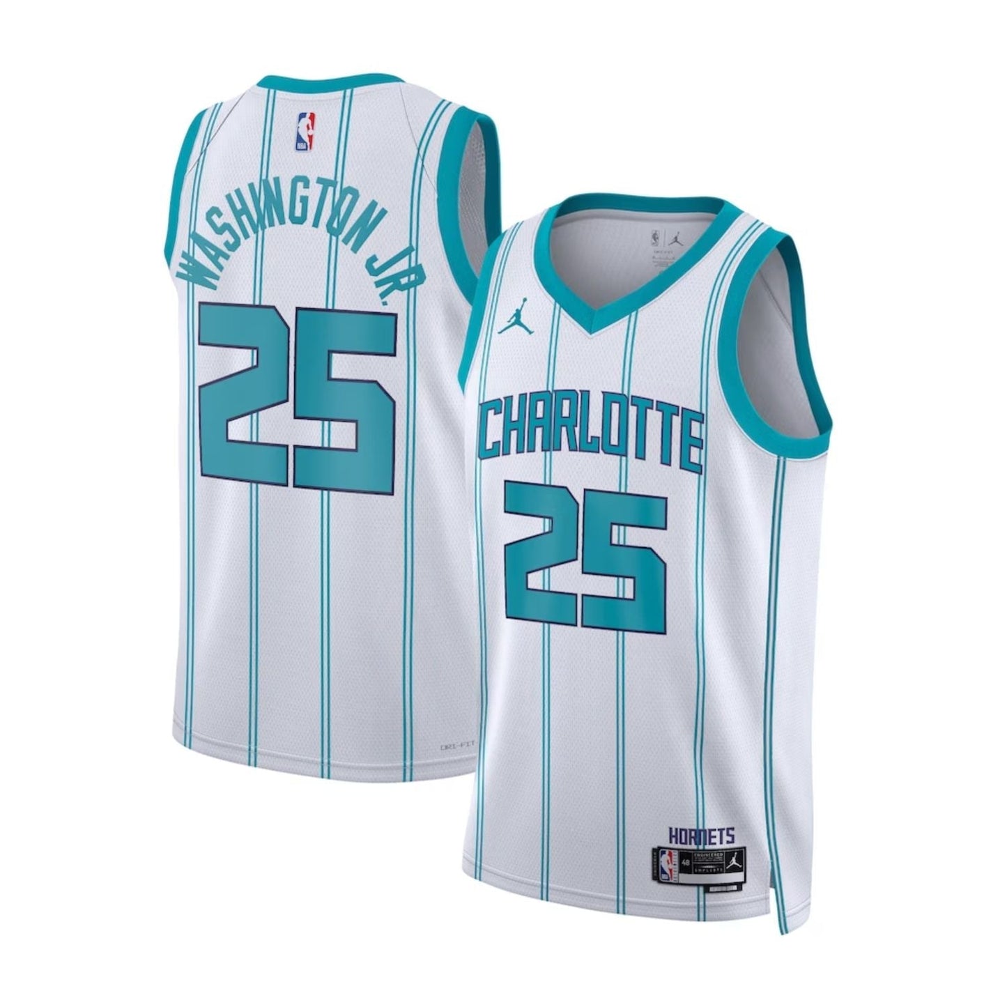 Basketball PJ Washington Jr Charlotte Hornets 25 Jersey