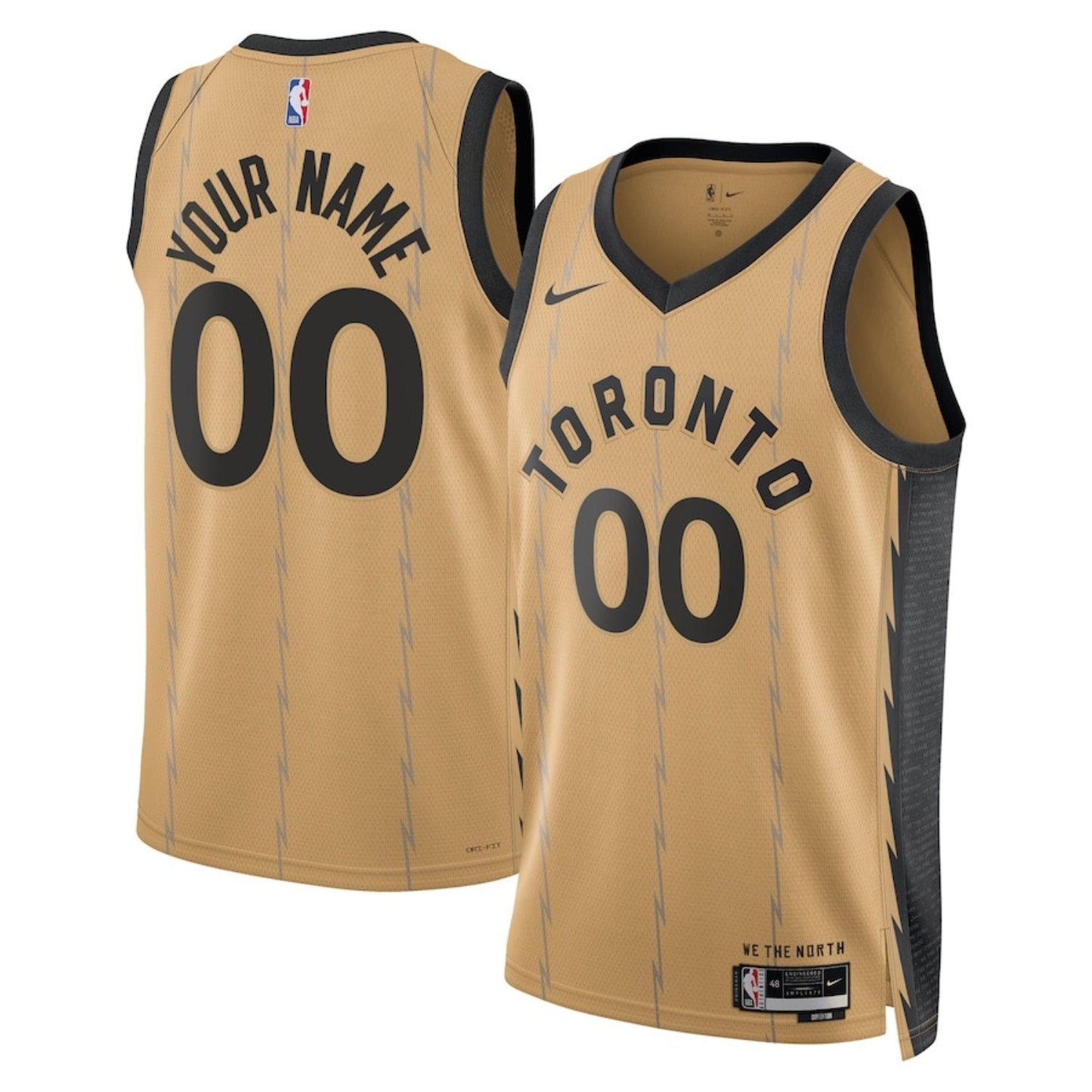 Toronto Raptors Blank Custom Jersey
